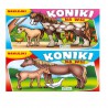 KOLOROWANKA  "KONIKI NA WSI"