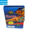 DINOZAURY W KSIĄŻCE  - 12 szt.