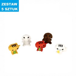 GUMKI SZKOLNE "PREMIUM - PUPILE" - 5 szt.