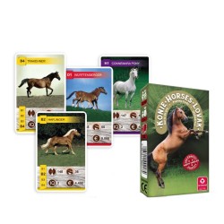 GRA KARCIANA "KWARTET - KONIE"